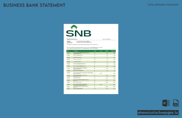 SNB Bank Unternehmensabrechnung – Beispielvorschau in Word und PDF